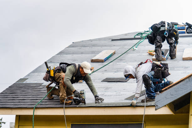 Professional Gutter Installation technician working in Panora, IA